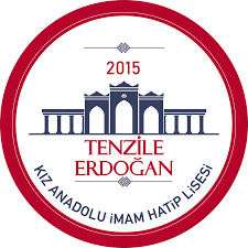 Tenzile Erdoğan Kız AİHL logosu